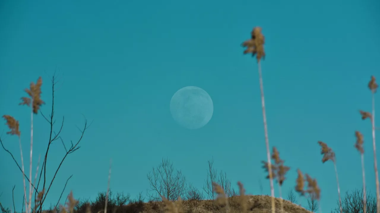 Blue zone
